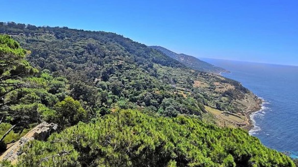 Parc Perdicaris, sur les hauteurs de Tanger, devant le détroit de Gibraltar. Ses 40 ha de végétation luxuriante en font le poumon vert de la ville. A l'origine, ce parc jouxtait une villa ayant appartenu au début du XXe à Ion Perdicaris, consul américain d'origine grecque.