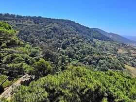 Parc Perdicaris, sur les hauteurs de Tanger, devant le détroit de Gibraltar. Ses 40 ha de végétation luxuriante en font le poumon vert de la ville. A l'origine, ce parc jouxtait une villa ayant appartenu au début du XXe à Ion Perdicaris, consul américain d'origine grecque.