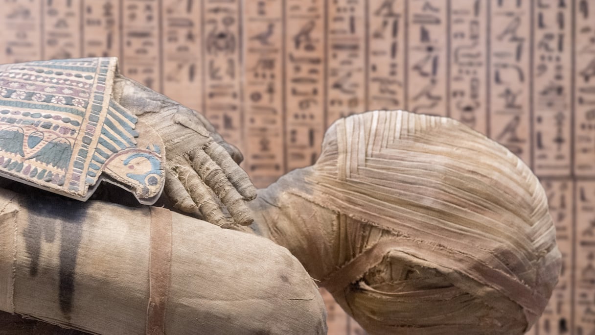 L'analyse génomique a révélé que près de 80 % de l'ascendance de l'homme provenait du Néolithique marocain.