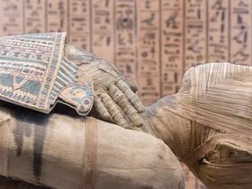 L'analyse génomique a révélé que près de 80 % de l'ascendance de l'homme provenait du Néolithique marocain.