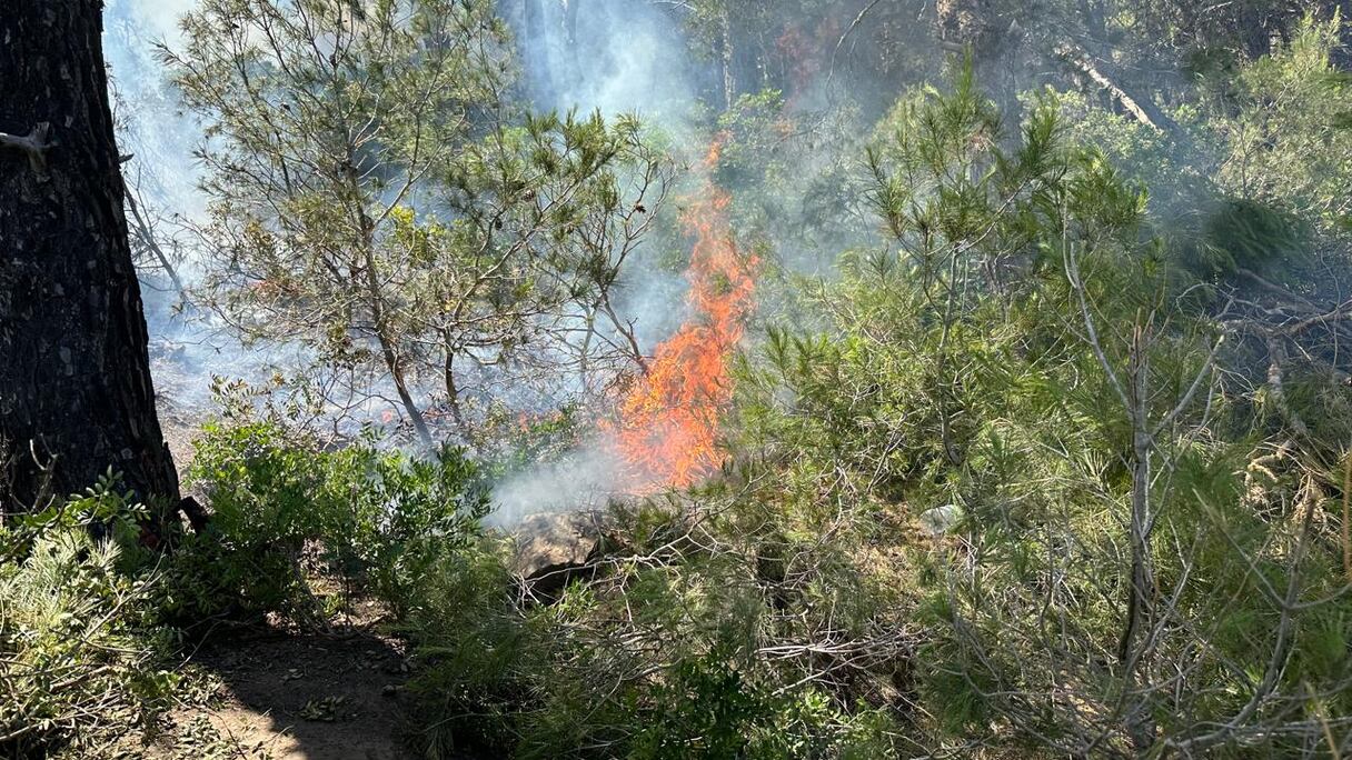 حريق مهول يحاصر غابة الهوارة بضواحي طنجة