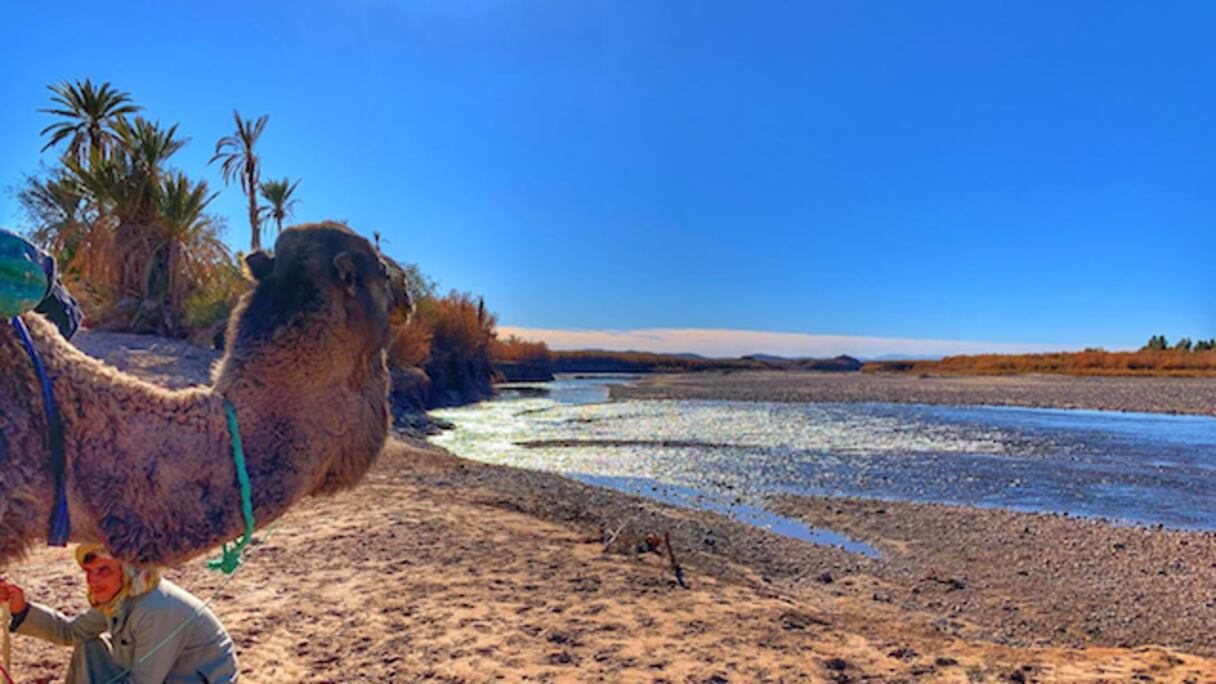Le long de la rivière Draa