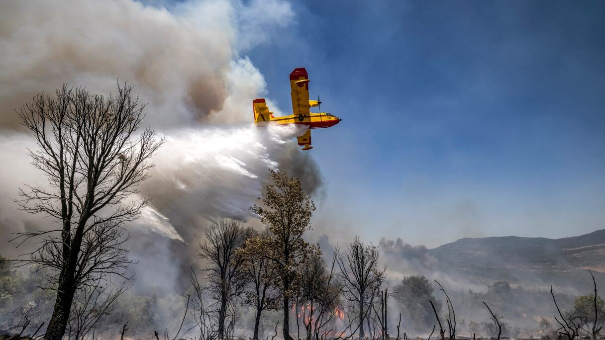 Un Canadair CL-415 des Forces royales air largue son chargement d'eau pour éteindre le feu de forêt qui fait rage près de la ville de Ksar el-Kebir dans la région de Larache, le 14 juillet 2022.