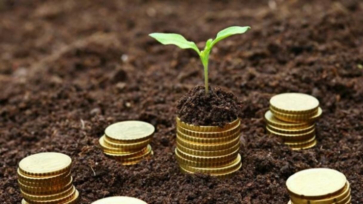 Photo d'illustration.