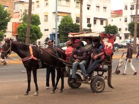 Lors de la session ordinaire du conseil communal de Casablanca, tenue mercredi 5 octobre 2022, Nabila Rmili a marqué sa détermination d’interdire la circulation dans la zone urbaine, aux charrettes à traction animale.