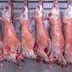 Viande ovine à 160 DH le kilo: entre discours officiels et réalité du marché