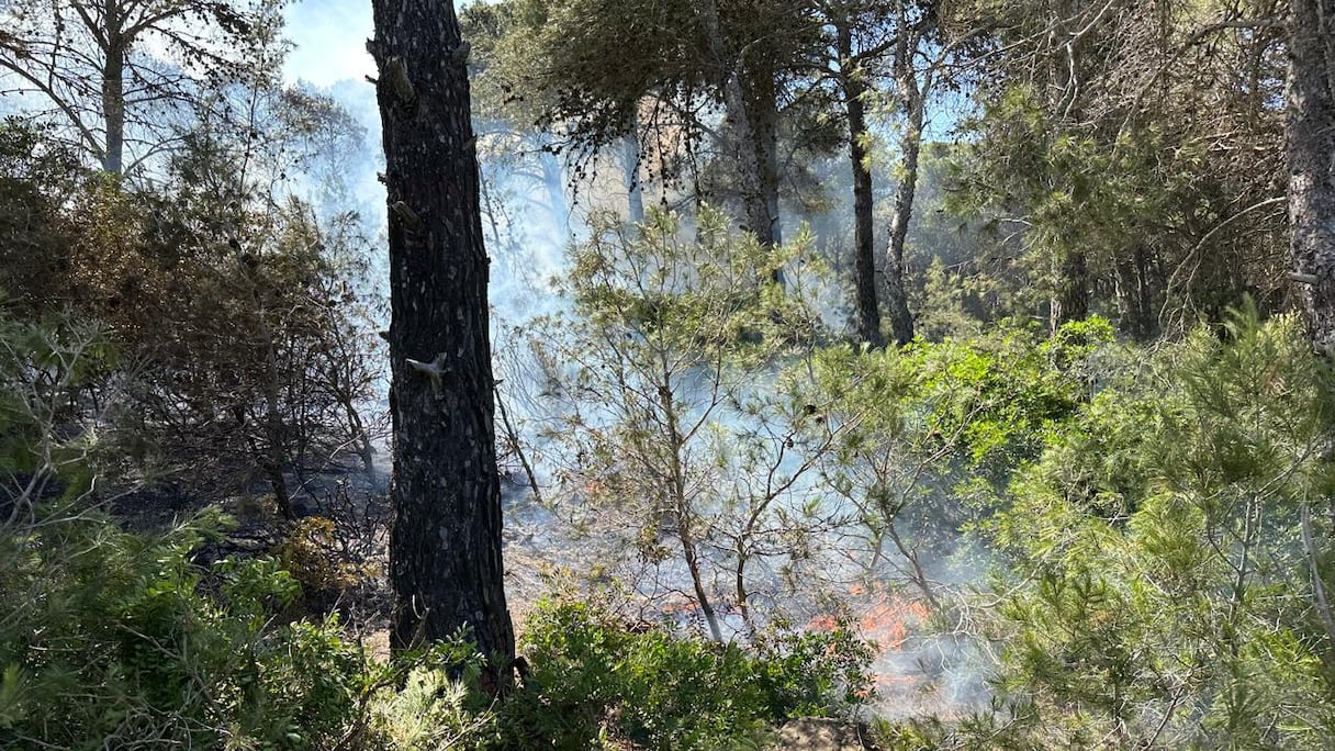 حريق مهول يحاصر غابة الهوارة بضواحي طنجة
