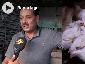 Au marché municipal de Derb Ghallef.