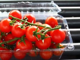 Tomates-cerises en barquette.