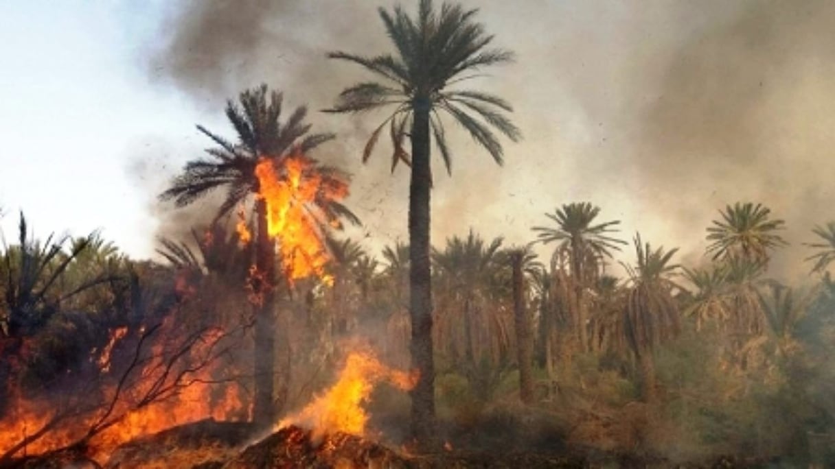 Un incendie dans une des oasis situées près de Guelmim (photo d'archives).