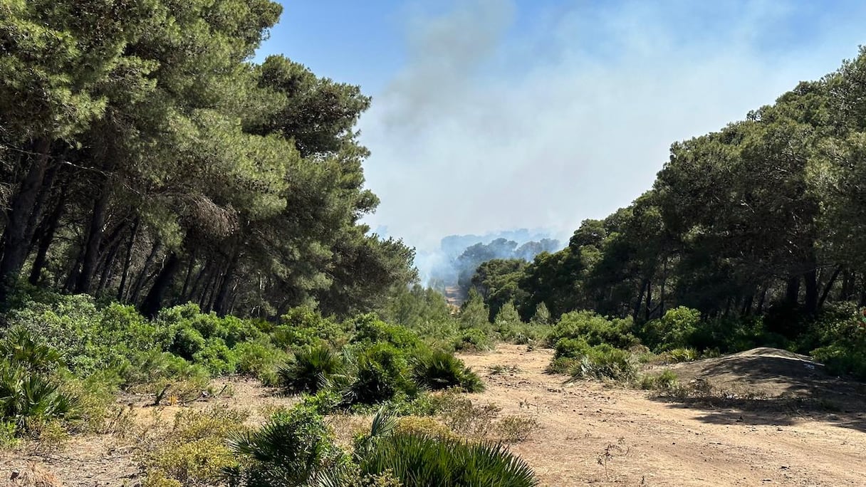 حريق مهول يحاصر غابة الهوارة بضواحي طنجة