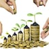 Finance participative: les raisons d’un décollage plus lent que prévu