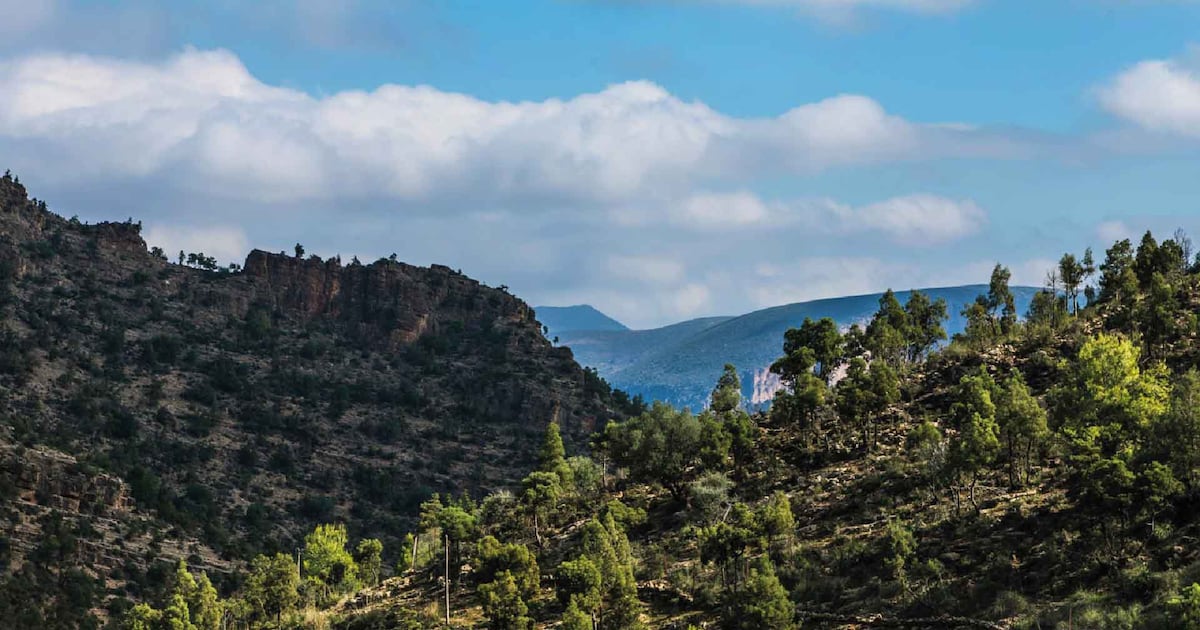 Tafoughalt en 24 heures, c’est possible! le360.ma