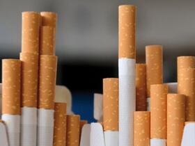 Des cigarettes pourvues d'un filtre.