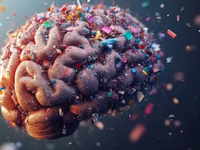 Les microplastiques de plus en plus présents dans le cerveau humain.