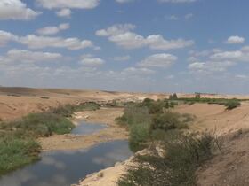 Deuxième plus grand oued du Royaume, et long de 550 km, le lit de l’Oum Errabia pâtit en 2022 des effets de la sécheresse pour la quatrième année consécutive.