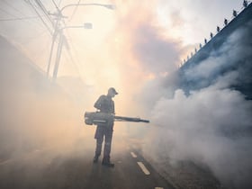 Un agent de lutte antiparasitaire fumige une rue avec un insecticide à Jakarta le 8 mai 2024 dans le cadre des efforts visant à arrêter la propagation de la dengue par les moustiques. Les humains ont rendu notre planète plus chaude, plus polluée et de moins en moins hospitalière pour de nombreuses espèces animales, et ces changements entraînent la propagation de maladies infectieuses.