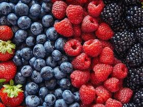 Les exportations marocaines de fruits rouges sont en hausse de 20% en volume, au 31 mars 2022.