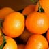 Mandarines: 550.000 tonnes d’exportations attendues pour le Maroc en 2025-2026