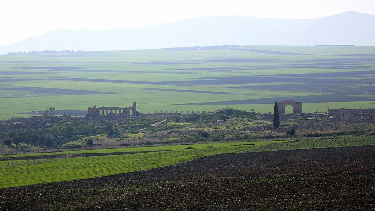 Volubilis (plaine du Saïss). Capitale du royaume de Maurétanie à partir du IIIe siècle av. J.-C., la cité antique, qui se développe dès son entrée dans le giron romain, vivait du commerce de l'huile d'olive. En attestent dans ses ruines de nombreux pressoirs à huile.