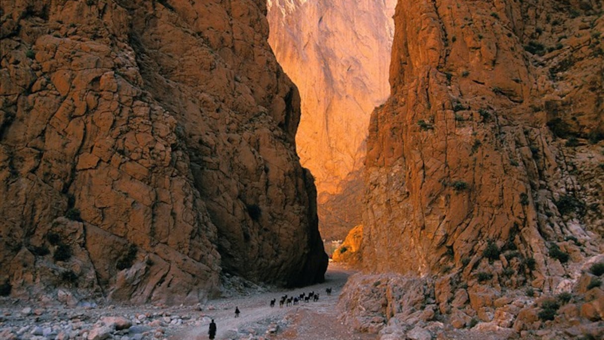 Les gorges de la vallée de Todgha.