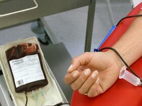 Une personne fait don de son sang.