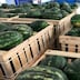 Stress hydrique à Tata: l’arrêt de l’agriculture hydrivore, un tournant écologique dans le Sud