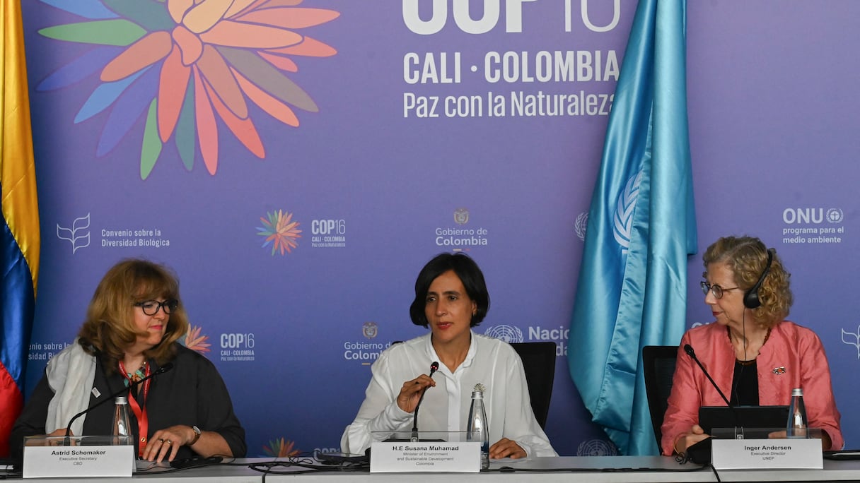 La ministre colombienne de l'Environnement et présidente de la COP16, Susana Muhamad (au centre), à côté d'Astrid Schomaker (à gauche), secrétaire exécutive de la CDB et d'Inger Andersen, directrice exécutive du PNUE, au sommet de la COP16 à Cali, en Colombie, 25 octobre 2024.
