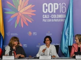 La ministre colombienne de l'Environnement et présidente de la COP16, Susana Muhamad (au centre), à côté d'Astrid Schomaker (à gauche), secrétaire exécutive de la CDB et d'Inger Andersen, directrice exécutive du PNUE, au sommet de la COP16 à Cali, en Colombie, 25 octobre 2024.
