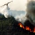 Sala Al-Jadida: incendie rapidement circonscrit à la forêt de la Maâmora
