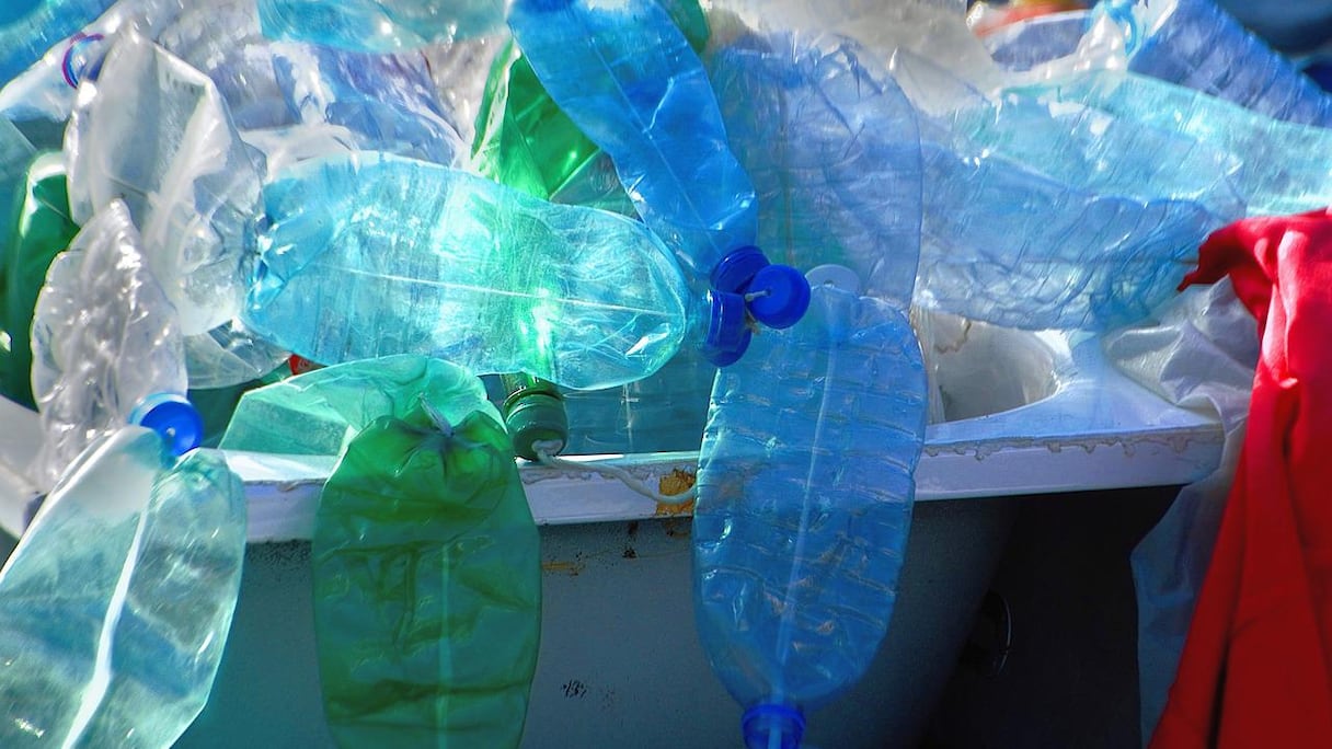 Le CESE plaide pour une stratégie nationale visant la transition vers une économie circulaire à travers notamment, le recyclage.
