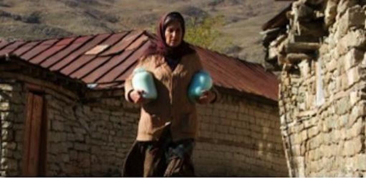 L'Azerbaidjan sera représenté par Nabat, le film d'Elchin Musaoglu qui délaisse le documentaire pour un film plein de poésie. L'héroïne, Nabat, vit avec son mari. La guerre qui gronde leur a pris leur fils. À la mort de son époux, Nabat se retrouve seule avec... une louve.
