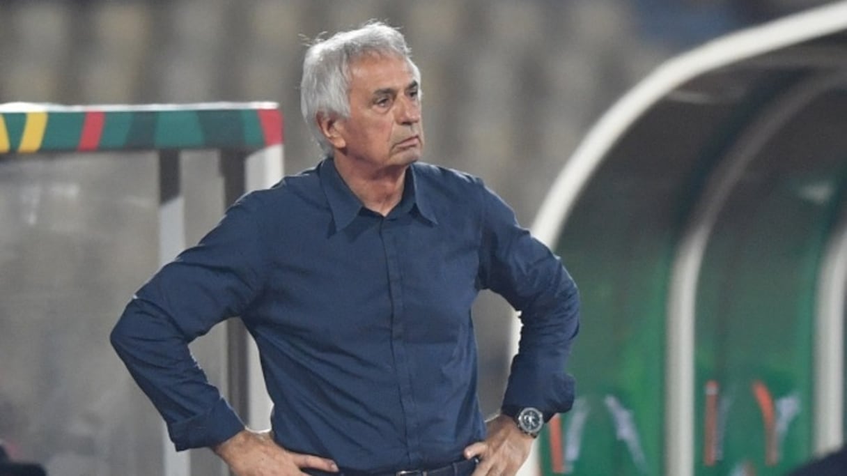 Vahid Halilhodzic.
