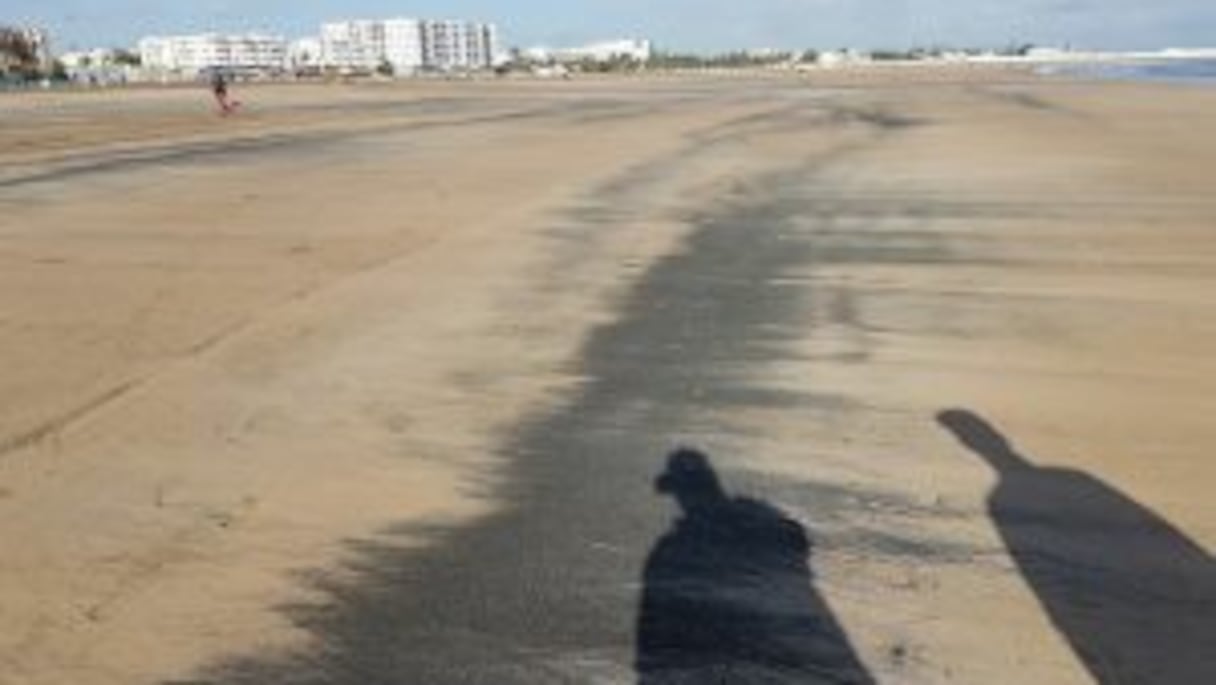 La bande de poussière noire sur la plage
