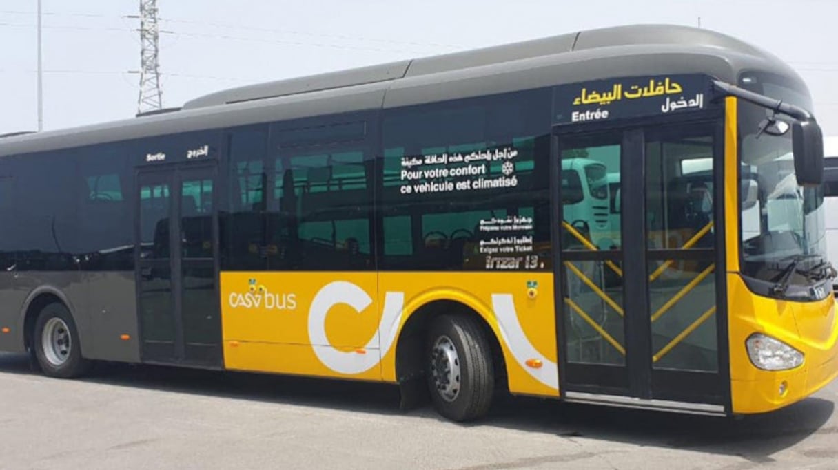 Les nouveaux bus de Casablanca.
