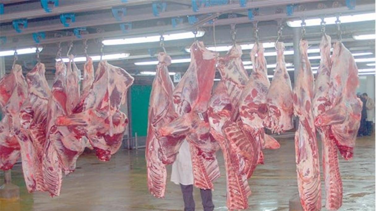 Abattoirs de Casablanca.
