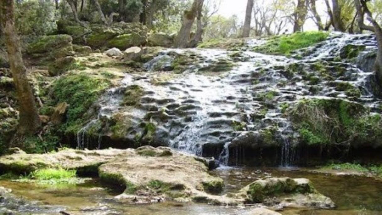 A 3 kilomètres du centre-ville d'Ifrane, la source naturelle de Aïn Vittel jaillit de la roche. Ses cascades s'écoulent au milieu d’une forêt de peupliers.