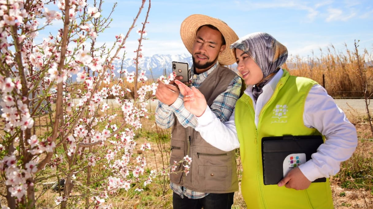 L’application T@swiq pour la commercialisation des produits agricoles est disponible gratuitement sur Google Play Store (Android) et le sera bientôt sur iOS.
