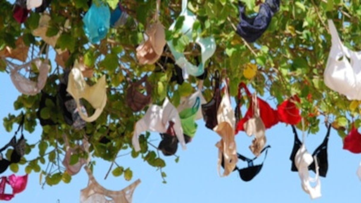 (Photographie d'illustration.)
