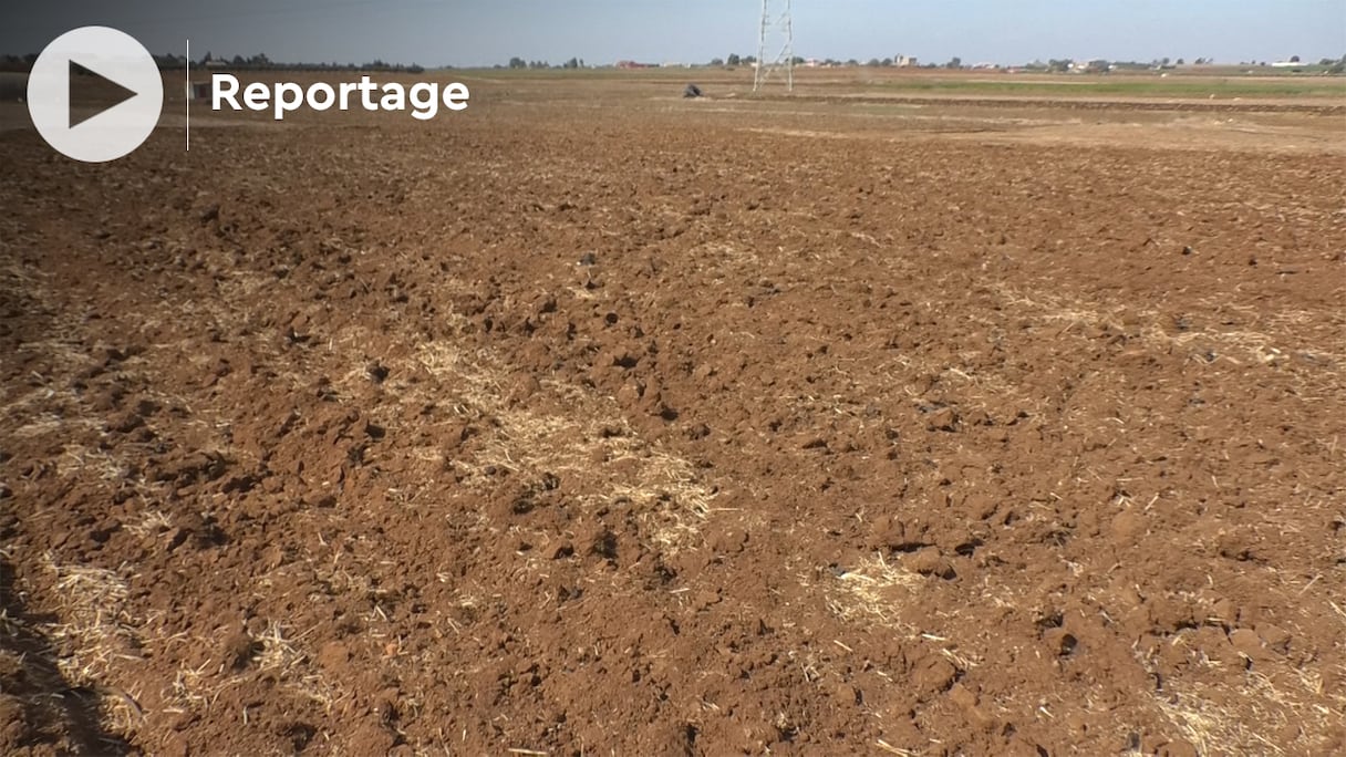 Le retard des pluies menace la saison agricole.
