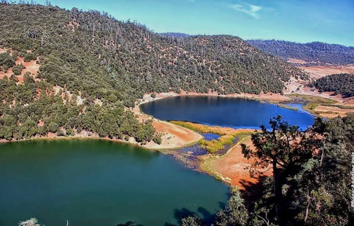 Le parc national de Khénifra
