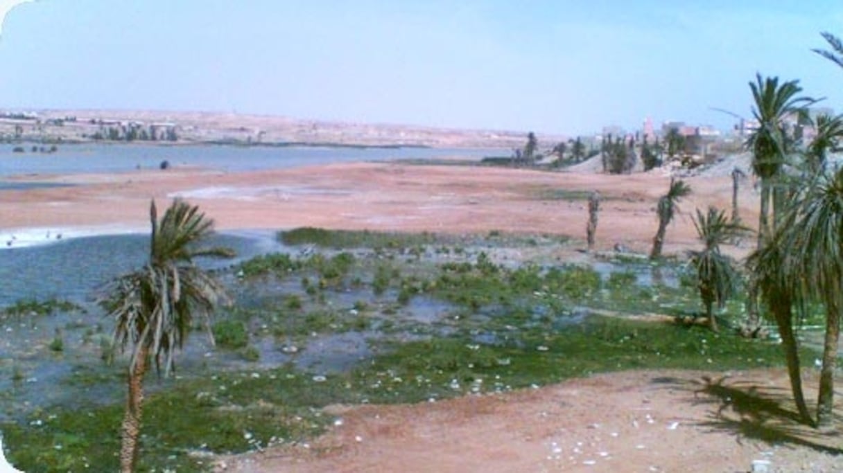 Bassin hydralique Sakiet el Hamra-Oued Eddahab.
