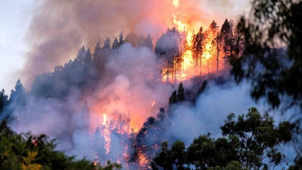 L'incendie, ravageur, a entraîné l'évacuation de 5.000 personnes. 
