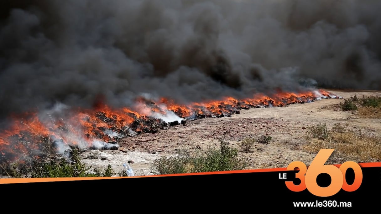 Destruction par le feu de 23 tonnes de drogue, à Tanger, le 2 juillet 2020. 
