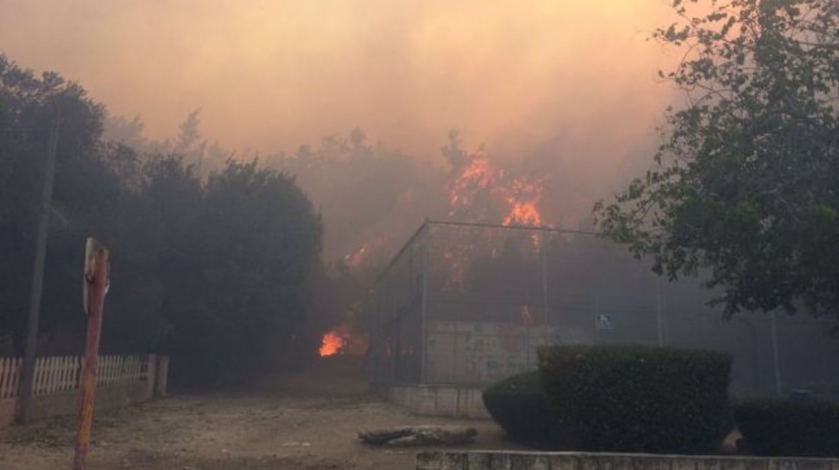 Le centre et le Nord d'Israël sont en proie depuis trois jours à une succession d'incendies.
