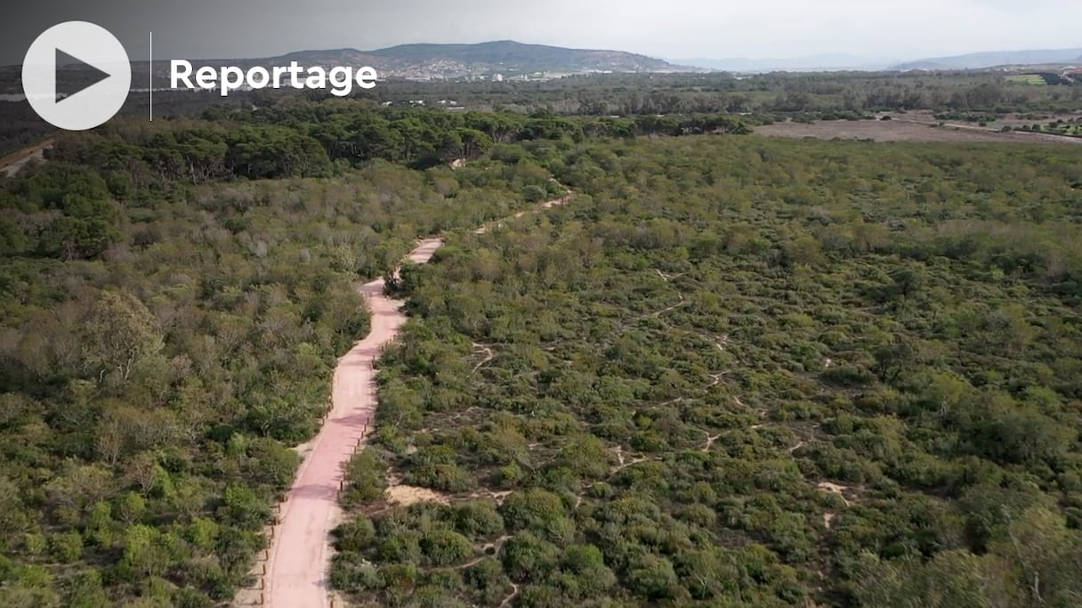 Le projet de transformation de la forêt diplomatique de Tanger, désormais devenue un parc urbain, a été financé par un budget de plus de 42 millions de dirhams, issu de plusieurs partenariats.
