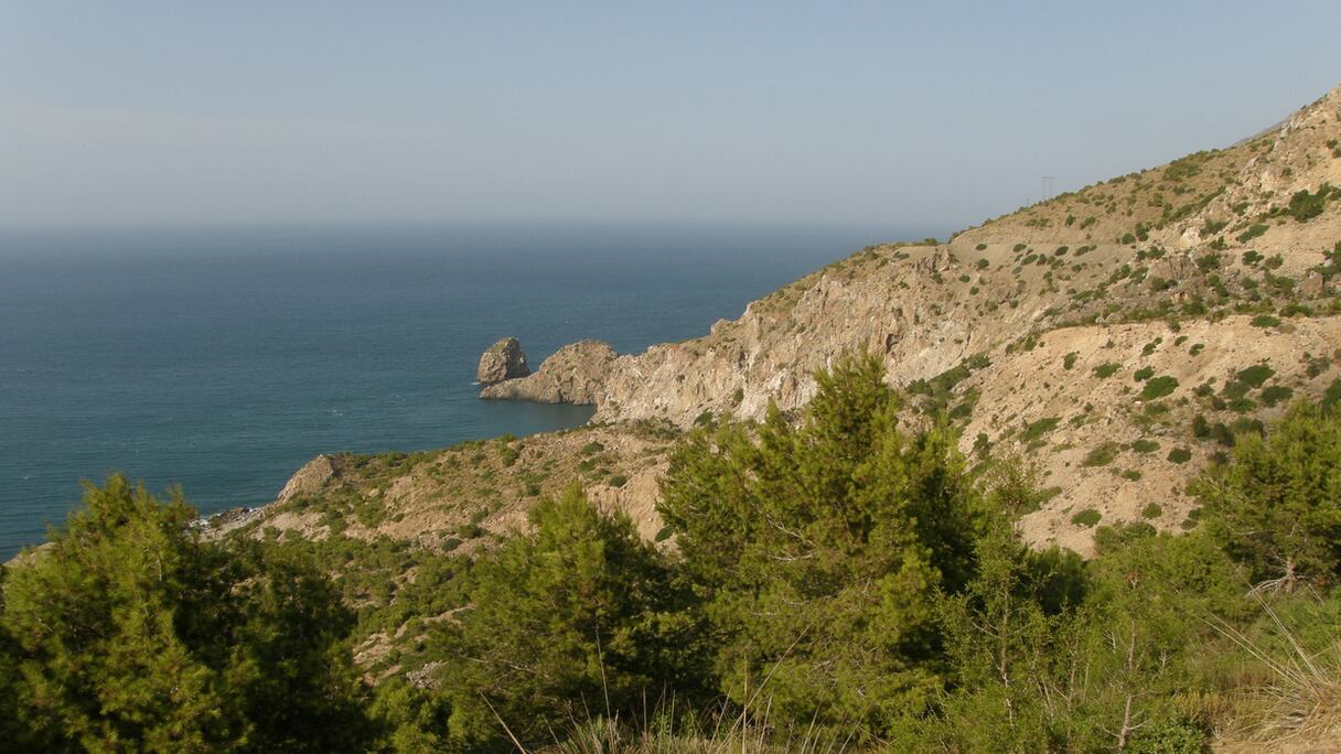 Parc national d'Al Hoceïma. Grâce à la limpidité de son eau, une importante faune marine y vit, dont des mollusques, des crustacés, des reptiles, des oiseaux (69 espèces dénombrées), des phoques moines et trois espèces de dauphins, dont le dauphin à gros nez. 
