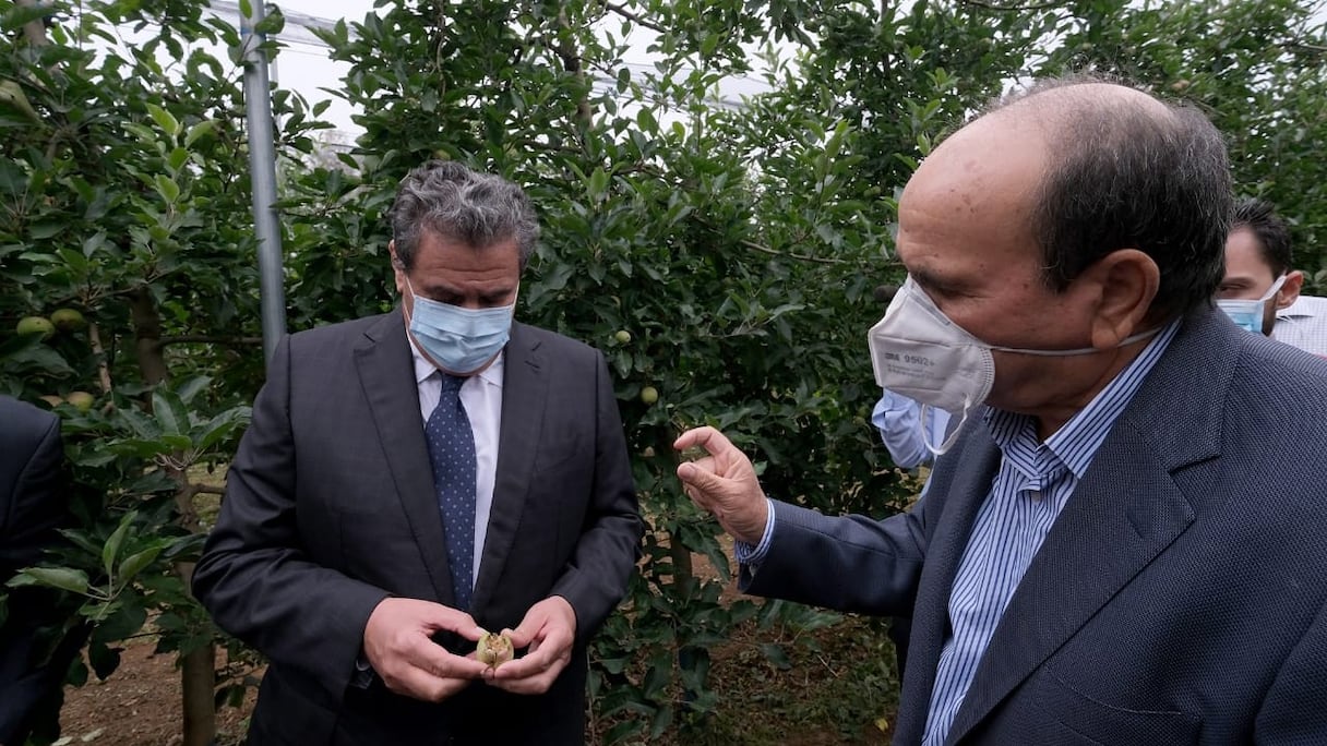 Aziz Akhannouch en visite de terrain, jeudi 11 juin 2020, dans des communes de la région Fès-Meknès, touchées par une violente tempête de grêle.
