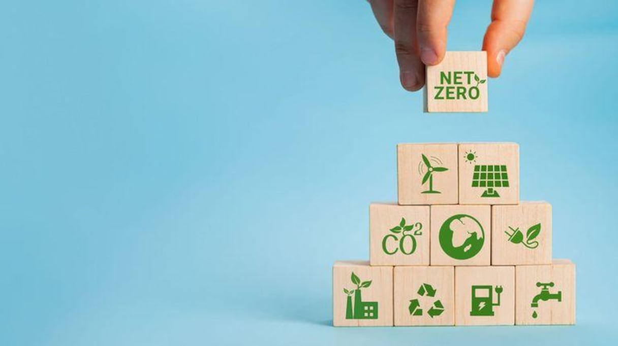 Net Zero Insurance Alliance (NZIA)