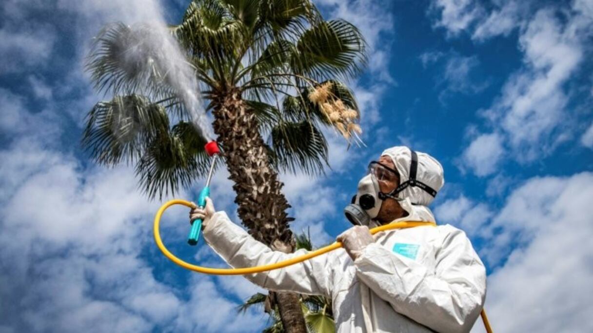 Un employé du ministère de la Santé marocain désinfecte une rue de Rabat, le 22 mars 2020.
